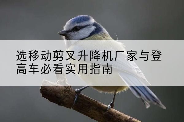 四川电动升降机厂家-选移动剪叉升降机厂家与登高车必看实用指南