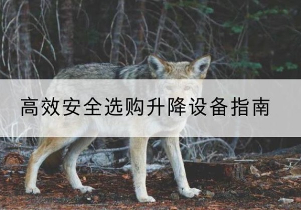 四川升降货梯厂家推荐-*安全选购升降设备指南